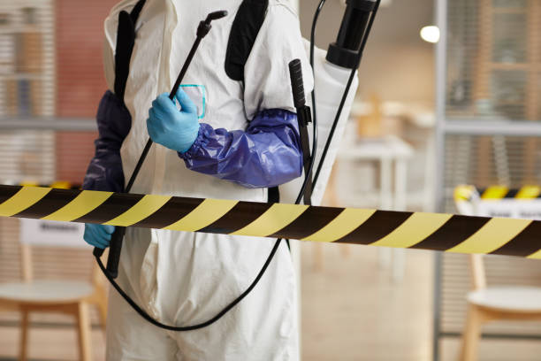 Professional Hoarding Cleanup technician working in Bushnell, IL